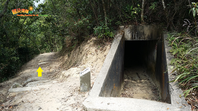 碉堡隧道