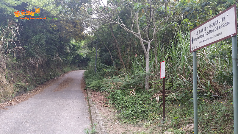 Hong Kong Forest Track