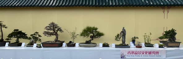 香港盆景文化研究會
