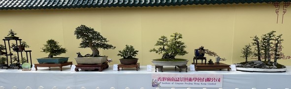 香港嶺南盆景藝術學會有限公司