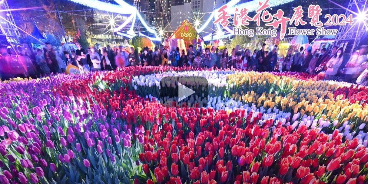 Flower Show with Dazzling Lights