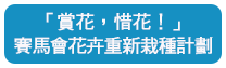 「賞花，惜花！」 花卉重新栽種計劃